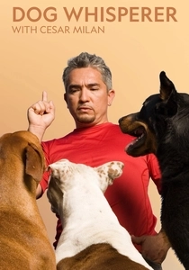The Dog Whisperer (2004)