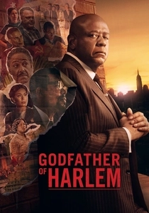 The Godfather of Harlem (2019)