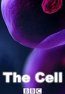 The Cell (2009)