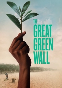 The Great Green Wall (2019)