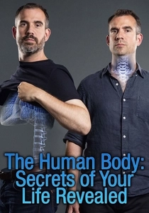The Human Body: Secrets of Your Life Revealed (2017)