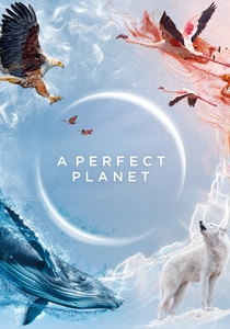 A Perfect Planet (2021)