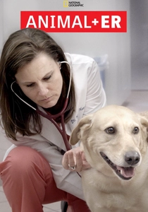 Animal ER (2016)
