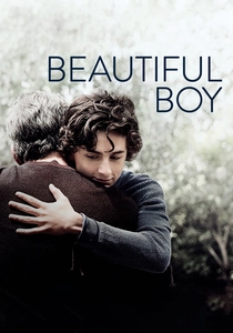 Beautiful Boy (2018)