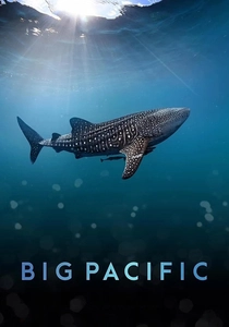 Big Pacific (2017)