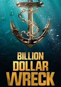 Billion Dollar Wreck (2016)