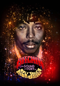 Bitchin': The Sound and Fury of Rick James (2021)