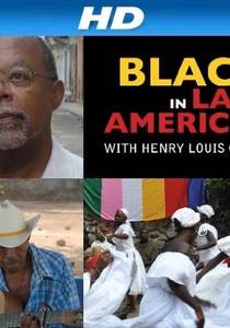 Black in Latin America (2011)