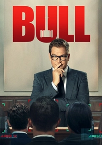 Bull (2016)