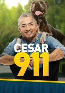 Cesar 911 (2014)