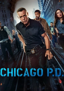 Chicago P.D. (2014)