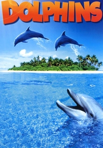 Dolphins (2000)