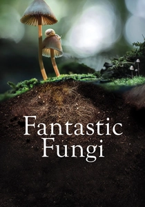 Fantastic Fungi (2019)