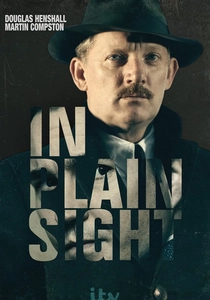 In Plain Sight (2016)