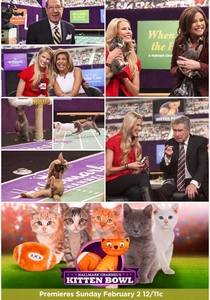 Kitten Bowl (2014)