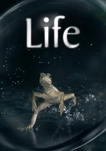 Life (2009)