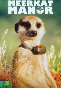 Meerkat Manor (2005)