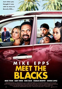 Meet the Blacks (2016)