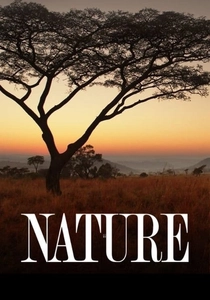 Nature (1982)
