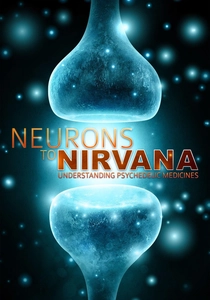Neurons to Nirvana (2013)