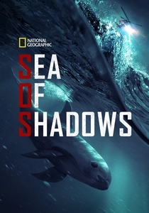 Sea of Shadows (2019)