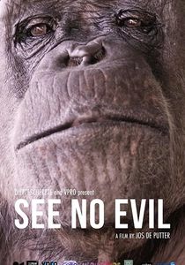 See No Evil (2014)