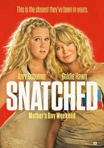 Snatched (2017)