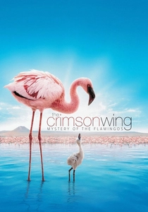 The Crimson Wing: Mystery of the Flamingos (2008)
