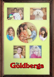 The Goldbergs (2013)