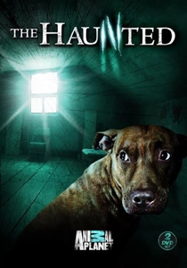 The Haunted (2009)