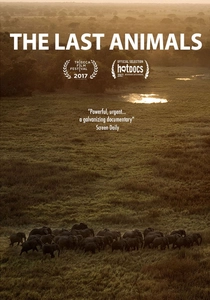 The Last Animals (2017)