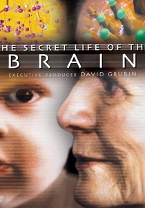 The Secret Life of the Brain (2002)