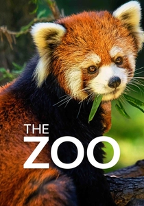The Zoo (2017)