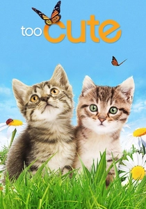 Too Cute (2011)