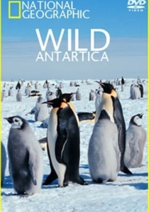 Wild Antarctica (2015)