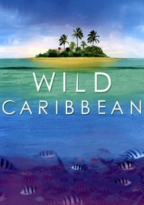 Wild Caribbean (2007)
