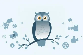 Owl Movies: A Cinematic Journey