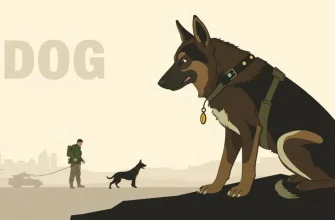 10 Films About Real-Life Dog Heroes