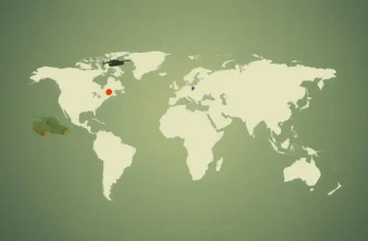 War Strategy Documentaries: A Cinematic Journey into Military Mastery