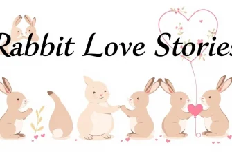 Rabbit Love Stories: 10 Melodramas to Warm Your Heart