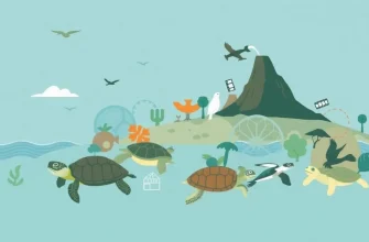 Turtle Biopics: A Cinematic Journey