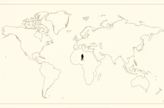 Top 10 Action Films About Exploration