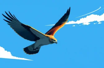 Top 10 Films About Hawks