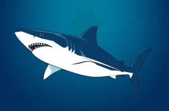 Top 10 Shark Adventure Films