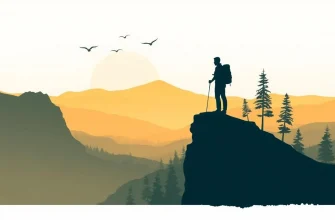Top 10 Adventure Films Set in Nature Reserves