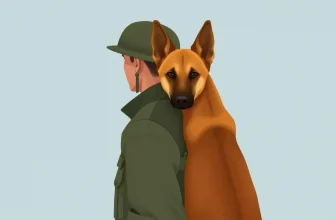 Top 10 War Films Featuring K9 Units