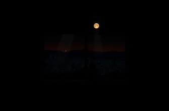 10 Must-Watch Drama Films About Loneliness