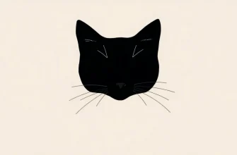 10 Must-Watch Cat Dramas