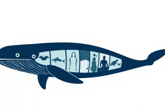 Whale Movies: A Cinematic Journey