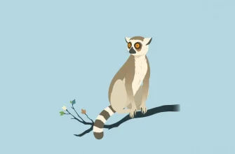 10 Must-Watch Lemur Drama Films